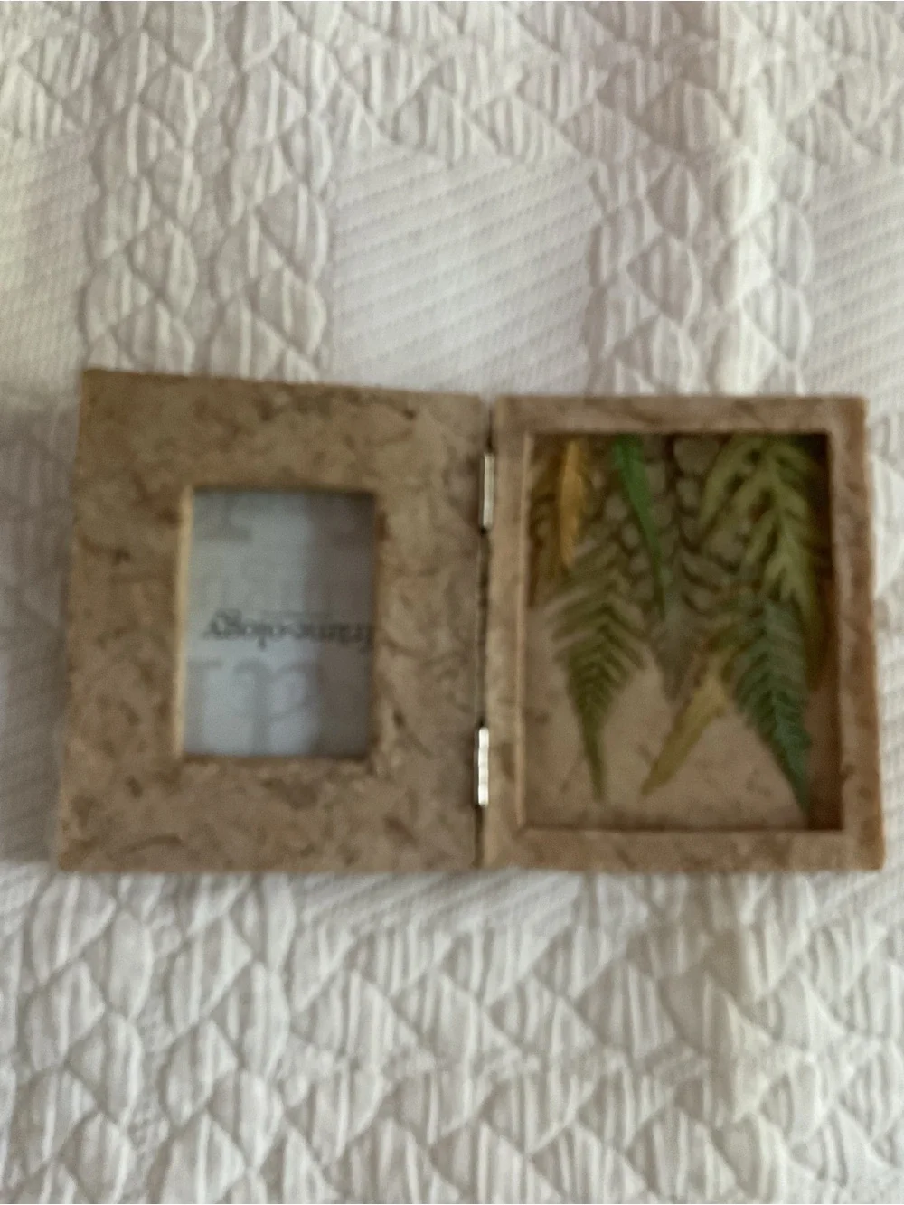 Natural Cork Double Picture Frame with Green Fern Accent